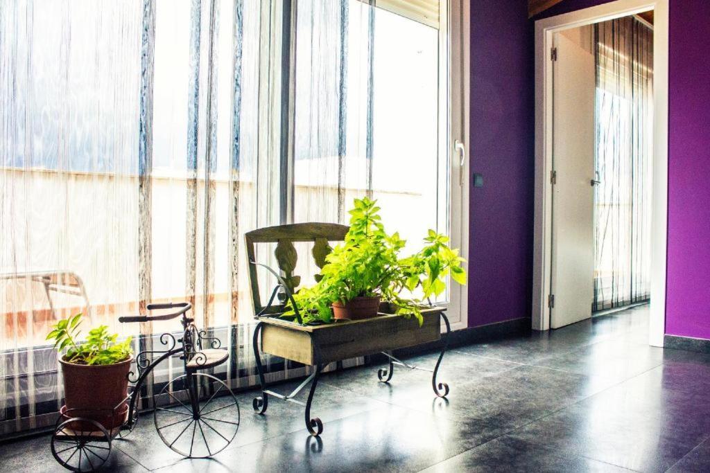 Apartamento Con Estilo Y Acogedor Σαντ Ματέου Εξωτερικό φωτογραφία